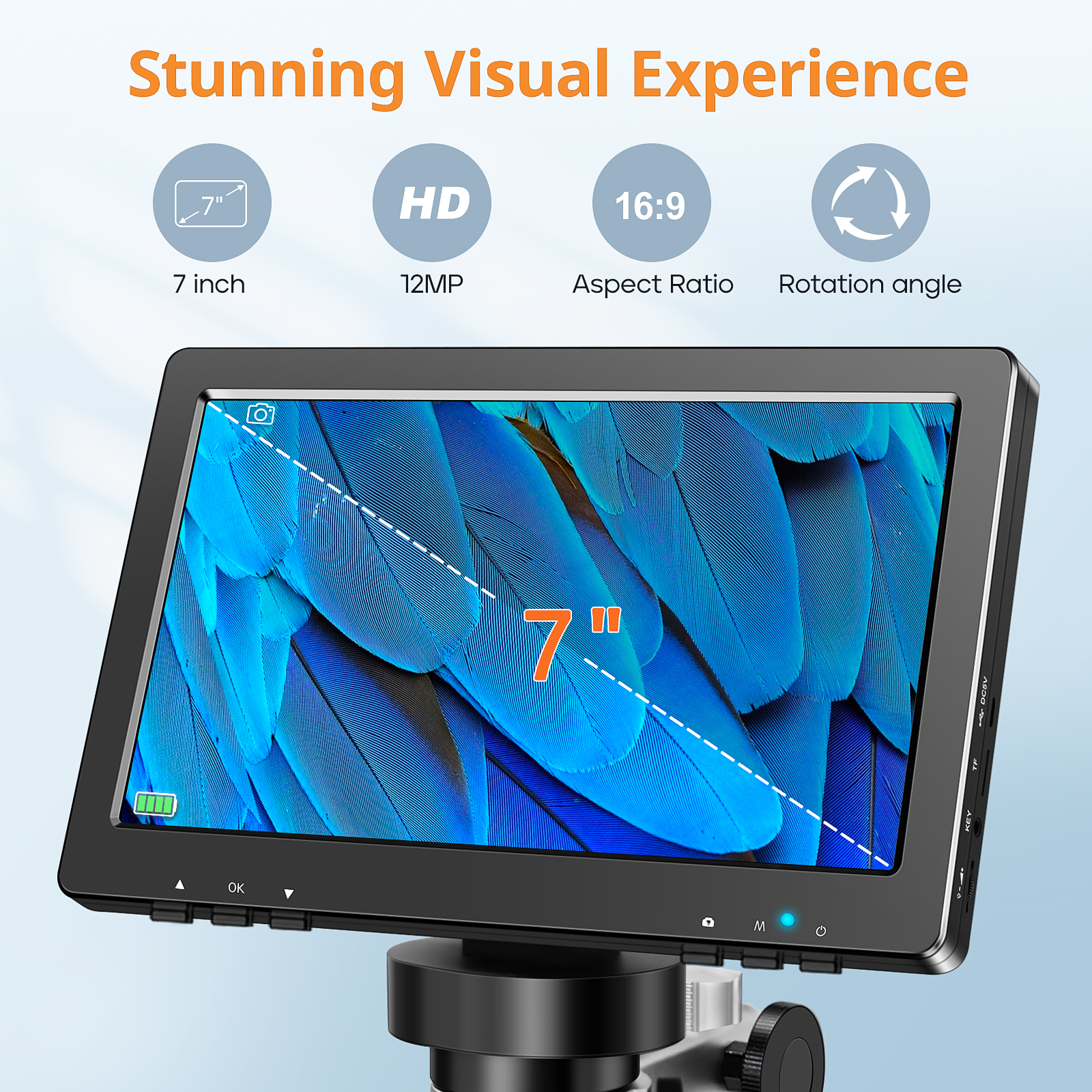 Hayve 7‘’ Digital Microscope 1 - Digital Magnifier Reading recensione e prezzo