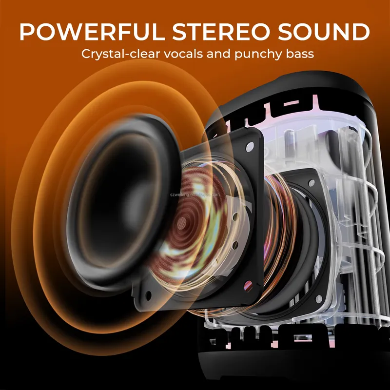 W-KING D110 RGB Wireless Bluet - Bluetooth Speaker Waterproof recensione e prezzo